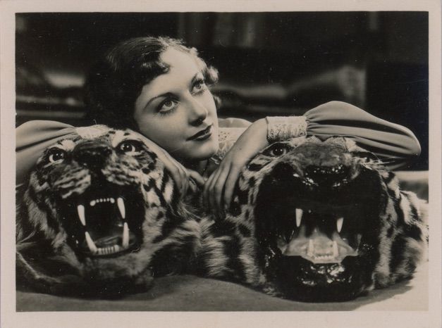 ADCigCard018