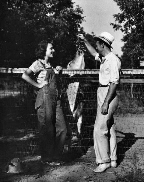 1933June17VanNuysFarmSnipe