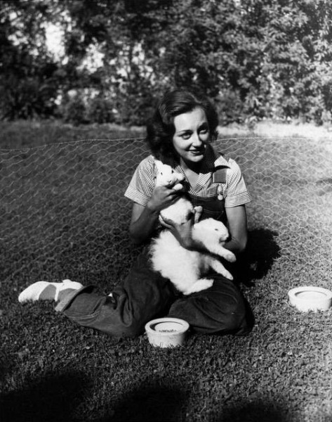 1933June17VanVuys3