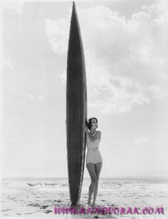 Surfboard