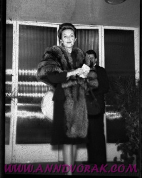 Candid Ann | Ann Dvorak: Hollywood's Forgotten Rebel